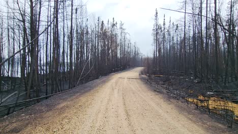 Forward-walk-on-rural-dirt-road,-surrounded-by-burned-down-trees