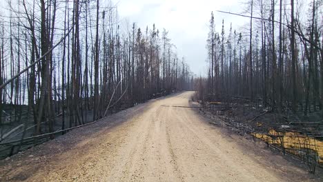 Caminar-Hacia-Adelante-En-Un-Camino-De-Tierra-Rural,-Rodeado-De-árboles-Quemados