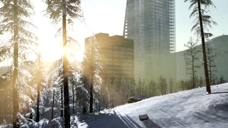 city and forest in snow