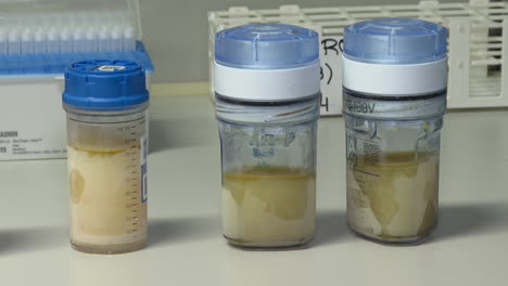laboratory samples in vials