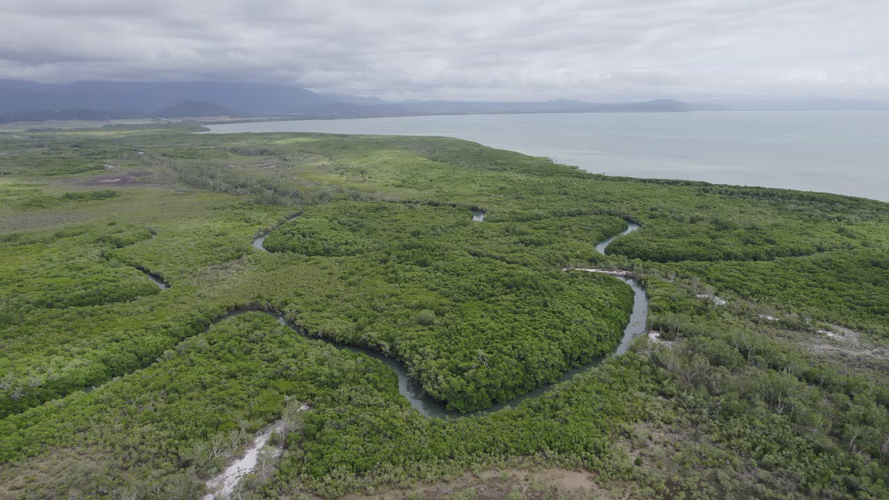 selva tropical de daintree en la costa del mar de coral en port douglas, norte de queensland