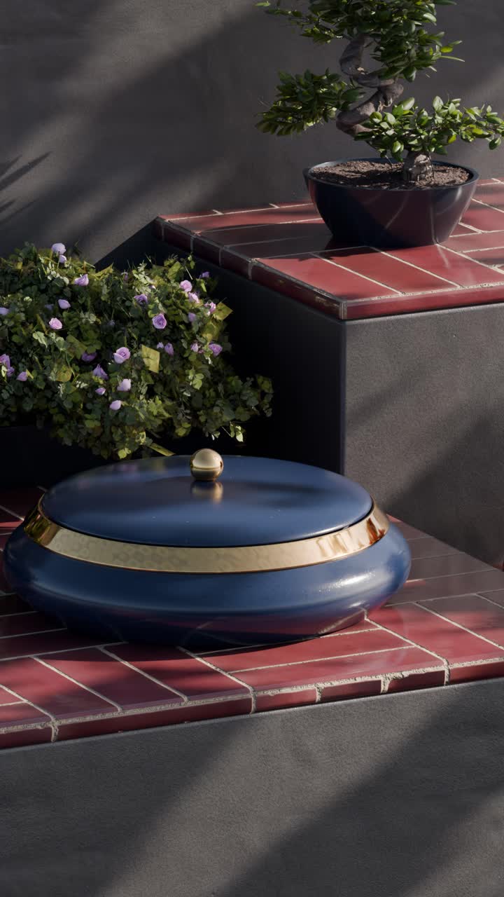 Still Life with Bonsai and Geometric Shapes