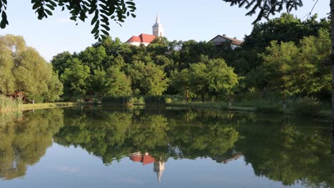 Reflection-of-church-steeple,-trees-along-shore-of-fish-pond-at-event-garden