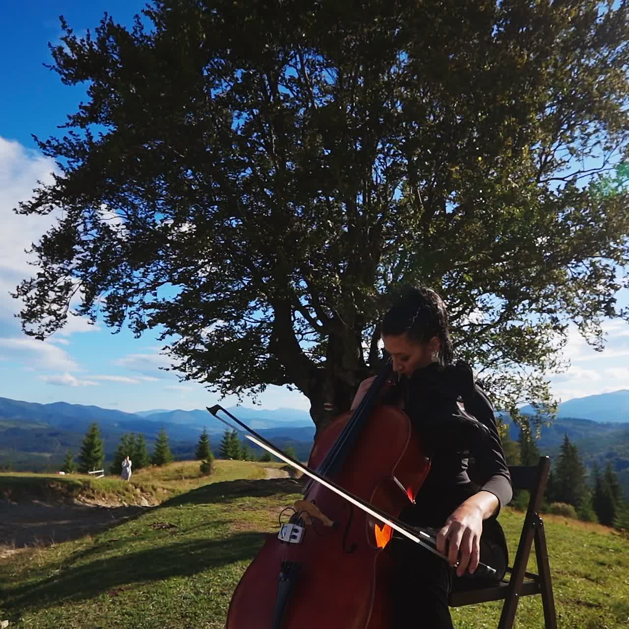 Giovane e affascinante violinista che si esibisce. Bella donna suona il violoncello immersa nel paesaggio.