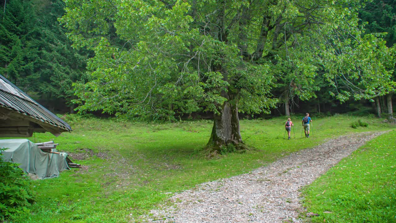Exploring Topla Valley Slovenia on a trek, wide shot