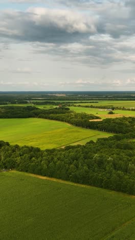 aerial view of green fields and forests landscape