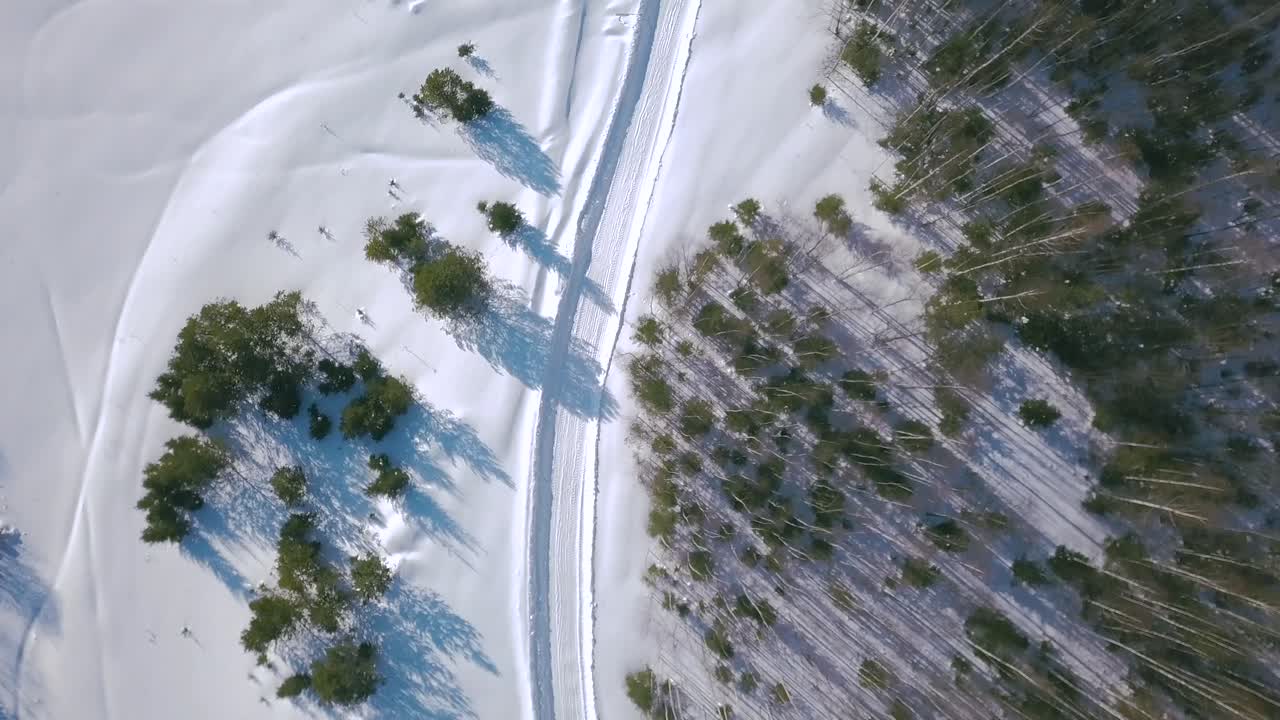 el camino del bosque nevado desde arriba
