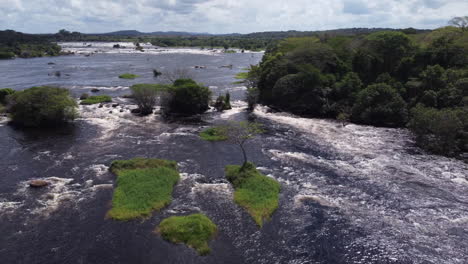 discover the diverse wildlife inhabiting cachamay park