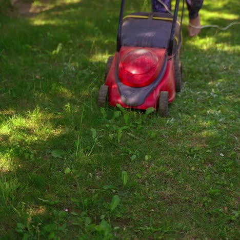 gardening. someone mows the grass with an electric lawn mower. mowing the lawn grass. landscaping the garden.