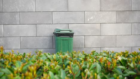 green trash can by a grey brick wall and hedge