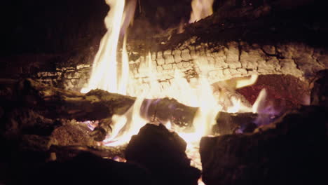 hoguera por la noche en un bosque en verano, 4k