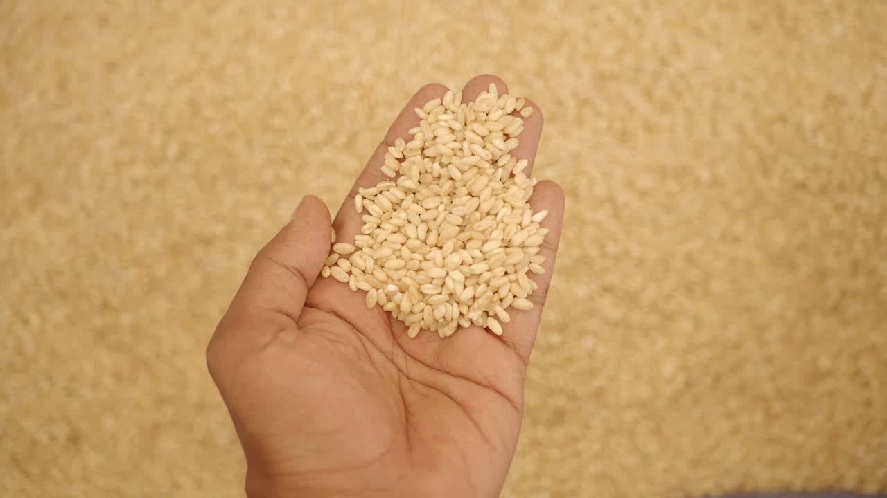 Hand holding rice grains