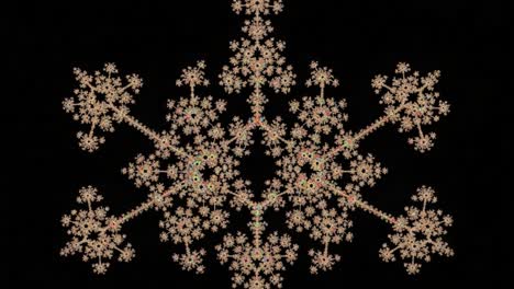 intricate fractal snowflake design with organic patterns and floral elements on a deep black background, capturing a unique geometric aesthetic in two frames