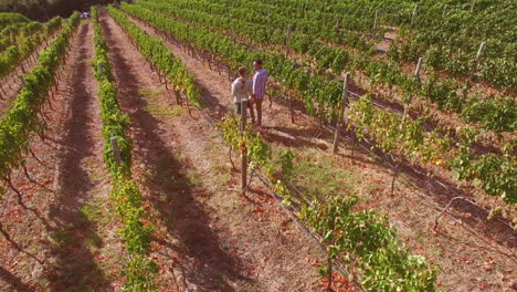 Drone-footage-of-couple-walking