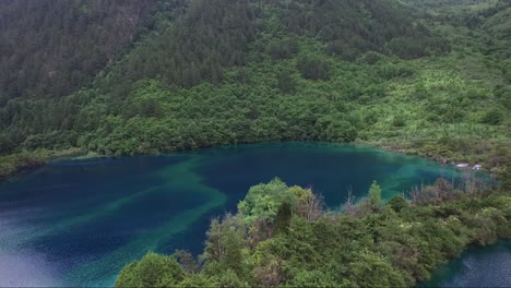 impresionante dron disparó sobre la línea de árboles hacia un deslumbrante lago de color azul