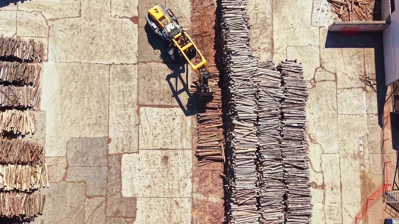 Wood processing in a factory with stacks of logs and machinery operating