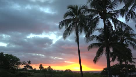 a tropical island sunset background on the big island of hawaii