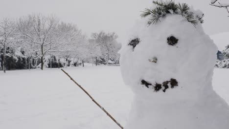 Süßer-Schneemann-Im-Park.-Nahaufnahme-Des-Kopfes