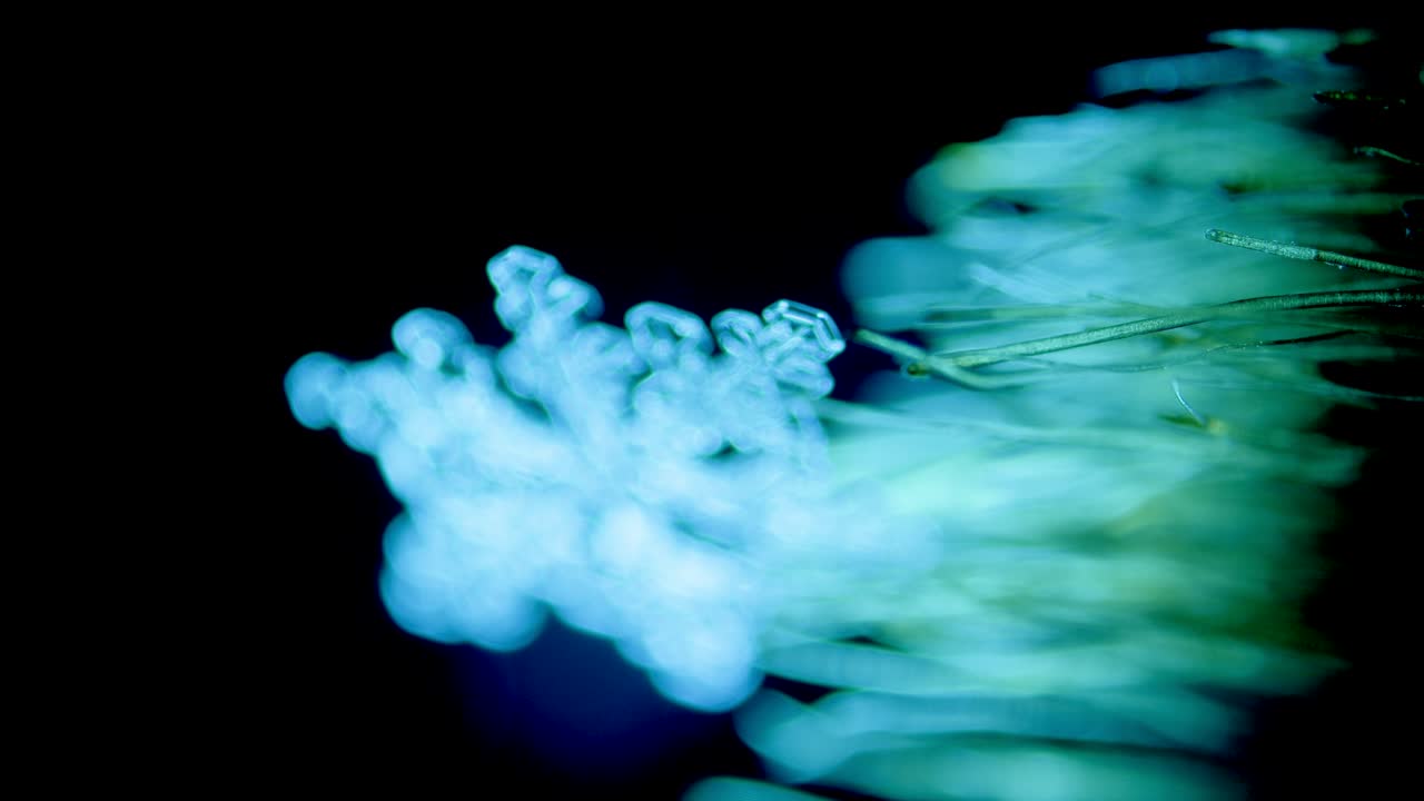 Cristal de glace flocon de neige sur les poils d'un pinceau sous microscope en fond noir.