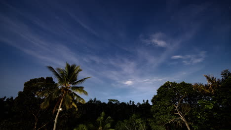 timelapse of clouds passing fast in the sky over palm trees