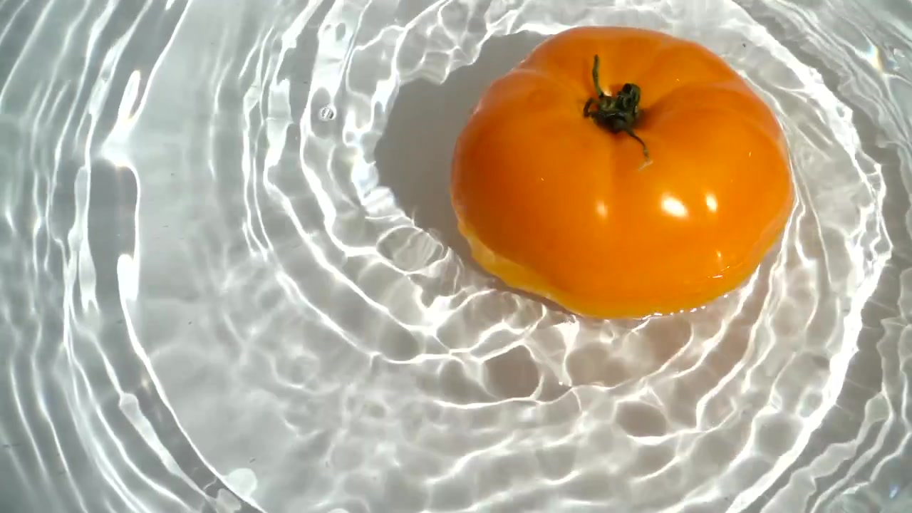 Moden gul tomat snurrer i vandet. Slowmotion.