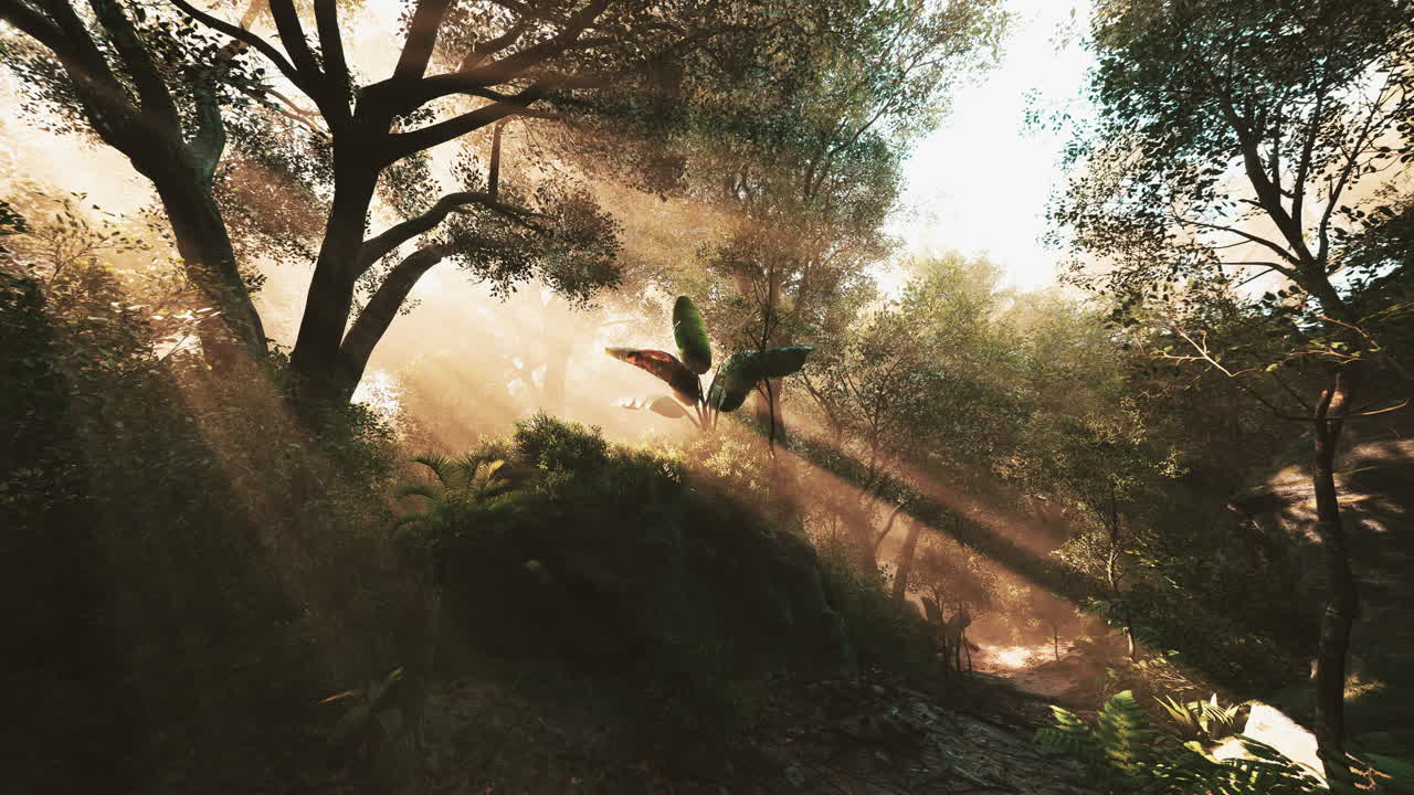 la luz del sol se filtra a través de los árboles en un bosque tranquilo al amanecer