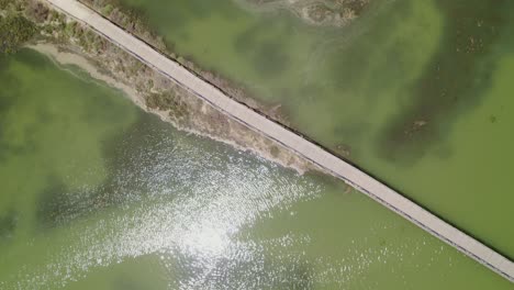 walkways over marshes at high tide at noon