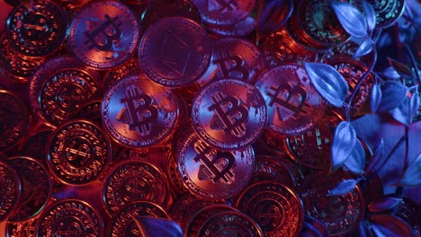 Bitcoin and Ethereum Cryptocurrency Coins with Plants