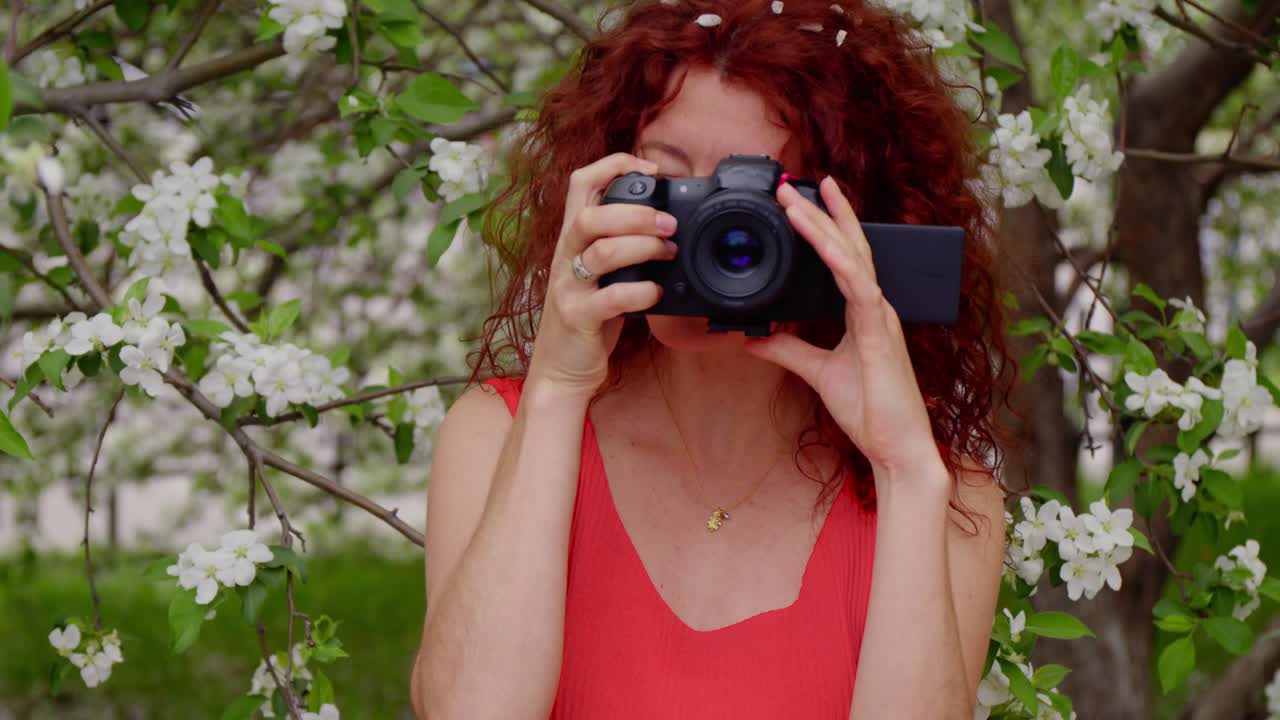 Woman photographing apple blossoms with a camera