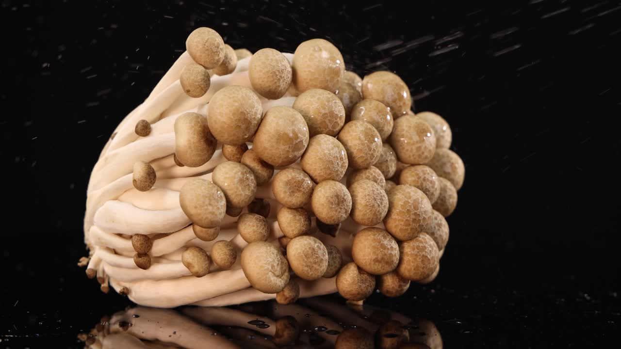 A cluster of brown beech mushrooms is sprayed with water, creating dynamic droplets and reflections against a glossy black studio background under dramatic lighting