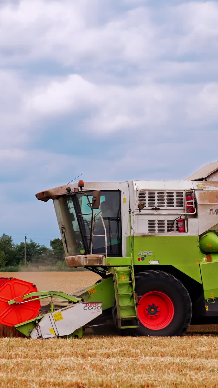 밀 에서 일 하는 수확기