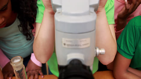classmates looking through a microscope