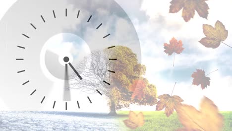 Clock-against-autumn-leaves-and-tree-4k