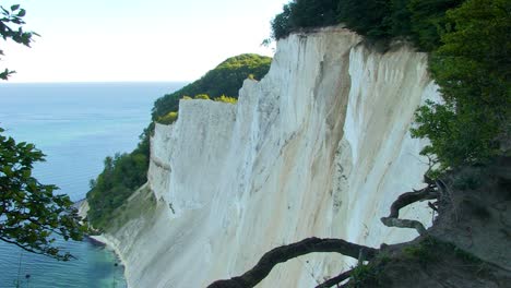 Wide-shot-of-the-white-chalk-cliffs-at-Mons-Klint-in-Denmark-with-some-of-the-deep-green-forest-foliage-in-the-foreground