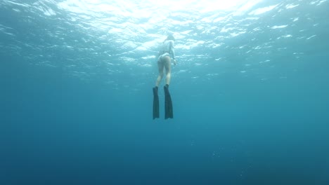 female freediver fins up to surface of clear blue ocean, cinematic slow motion