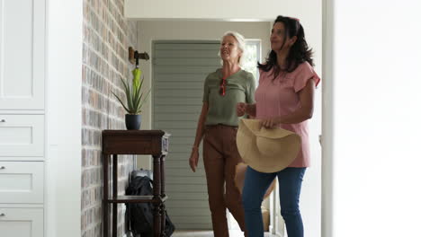 mulheres idosas felizes e diversas entrando em casa num dia ensolarado, em câmara lenta.