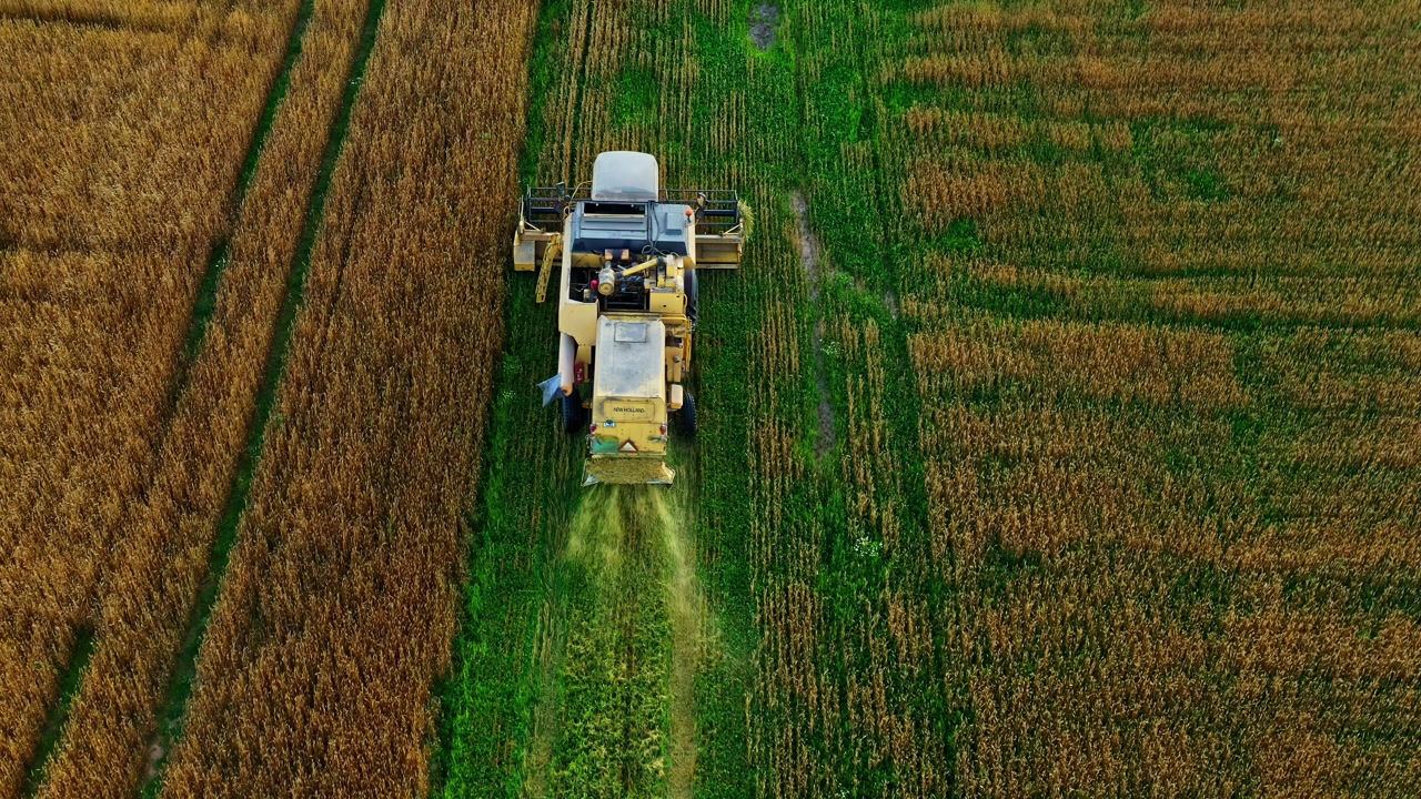 Drone follow shot of Harvester Moving Across Lush Green and Brown Crops field