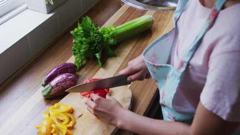 Mixed-race-lesbian-couple-and-daughter-preparing-food-in-kitchen