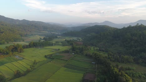 aerial view of a lush green valley with mountains