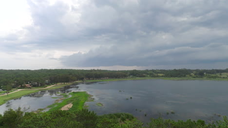 immerse in serene beauty: pines forest and tranquil lagoon on a cloudy day