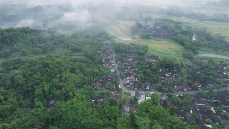 balinese village houses in bali jungles of indonesia - aerial view