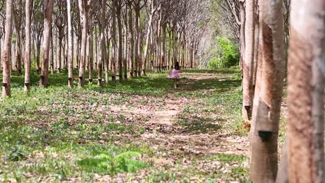 a woman runs along a path in a sunlit rubber tree plantation in phuket, thailand, capturing a serene and energetic moment