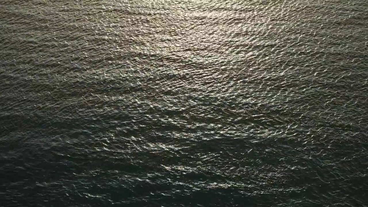 Golden sunlight shimmering across rippled open sea surface with gentle rolling swell