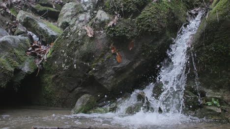 a small, picturesque waterfall cascades over moss-covered rocks into a shallow pool, surrounded by natural elements like fallen leaves and rugged stone.