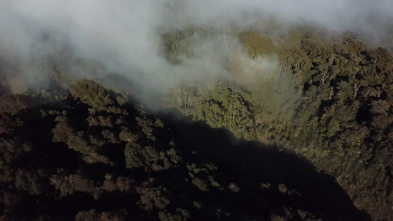 Flying Above Rainforest and Clouds, Aerial View of Pristine Landscape in South America