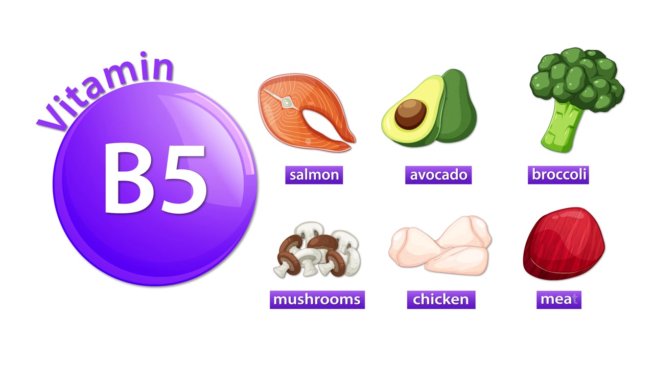 Sequenza animata che evidenzia la vitamina B5 e le principali fonti alimentari tramite icone chiare ed etichette di testo