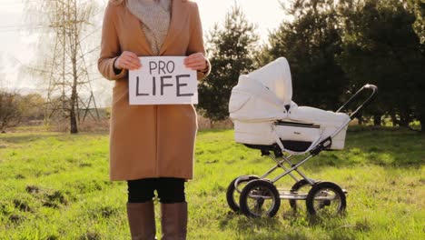 frau, die an einem sonnigen tag ein brett mit der aufschrift pro life mit babytrolley im hintergrund hält