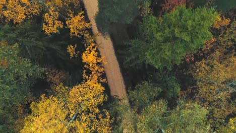 aerial tracking shot looking directly below, following a footpath in autumn