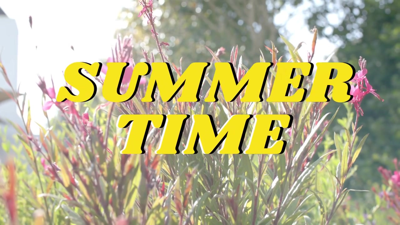 Zwaaiende roze bloemen die de focus verleggen door de wind en lensverschuiving in de tuin, gele 'SUMMER TIME' overlay