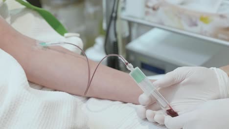 experienced doctor drawing blood taking blood sample of female calm patient, changing container, filling up vial